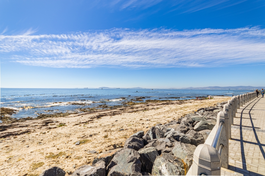 To Let 0 Bedroom Property for Rent in Green Point Western Cape